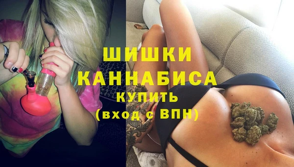 шишки Наволоки