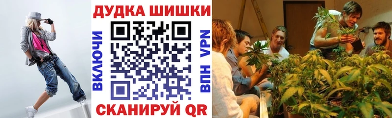 Канабис THC 21%  Фрязино 